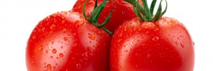 Pomodori gratinati: una ricetta semplice per un contorno gustoso